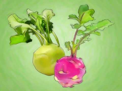 Grow Kohlrabi