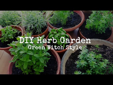 GREEN WITCH Herb Garden | How to start a balcony herb garden