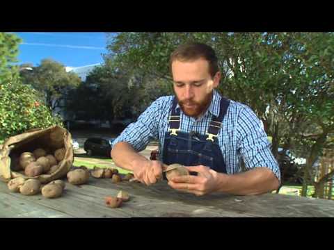 How to Grow Potatoes