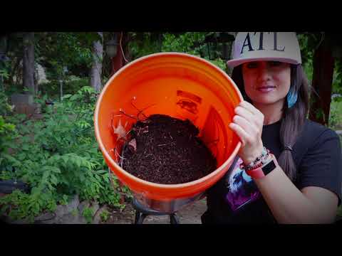 How to Make Your Own Bucket Compost at Home!