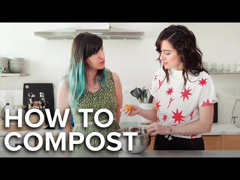 How To Easily Compost In A Tiny Apartment