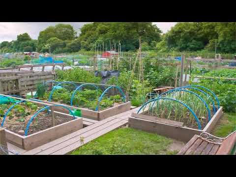 Home Vegetable Garden Layout Plans