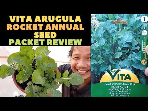 HOW TO GROW ARUGULA ROCKET ANNUAL FROM SEED | VITA ROCKET ANNUAL SEED PACKET REVIEW