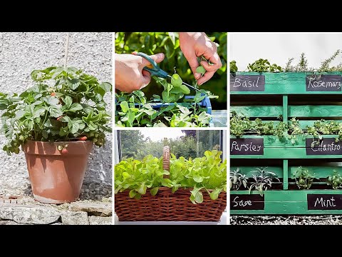 AWESOME Ways to Grow in Small Spaces! Container Vegetable Gardening for Beginners