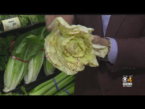 Fresh Grocer: Bel Fiore Radicchio Lettuce