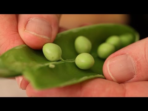 Getting to know the difference between Sugar snap and English peas