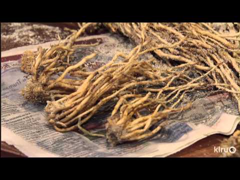 How to grow organic asparagus |John Dromgoole |Central Texas Gardener