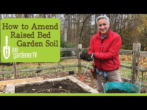 How to Amend Raised Bed Garden Soil for Continued Health