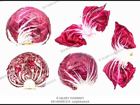 How to Grow Radicchio (Cichorium intybus var. foliosum)