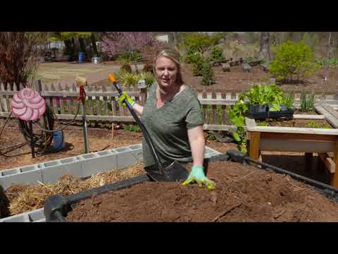 Building a Cinderblock Raised Bed and Planting Squash