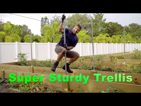 Building trellis poles for climbing vegetables onto raised beds