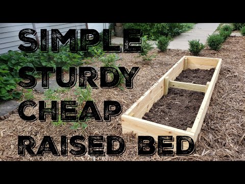 How To Build A Simple Sturdy and Inexpensive Raised Bed Garden Box