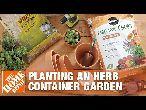 How To Plant an Herb Container Garden | The Home Depot