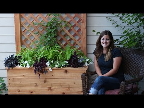 How to Build a Trellis Planter