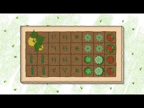 How to Start a Vegetable Garden: The Basics