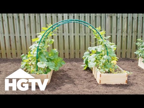 Way to Grow: Easy PVC Garden Trellis | HGTV