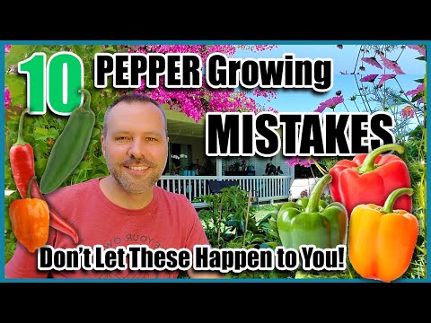 Pepper Growing Mistakes - How to Avoid or Fix Them...How to Grow Peppers.