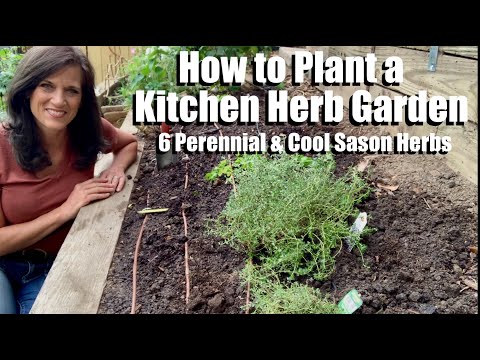 How to Plant a Kitchen Herb Garden - 6 Perennial and Cool Season Herbs ??