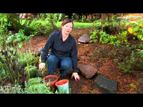 The Best Soil for an Herb Garden