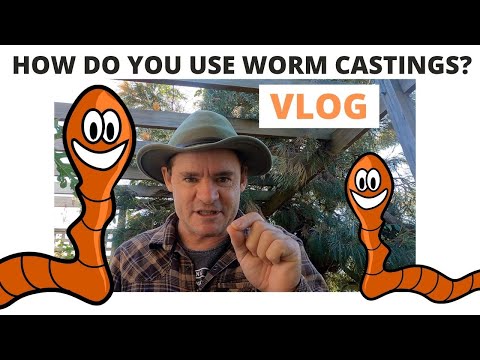 download worm castings how to use
