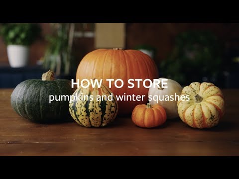 How to store pumpkins and winter squashes | Grow at Home | RHS