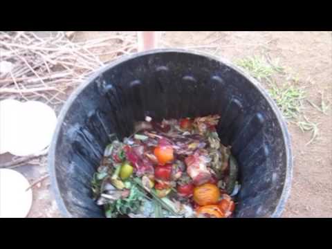 How to start a compost bin