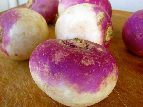 Rutabaga 101