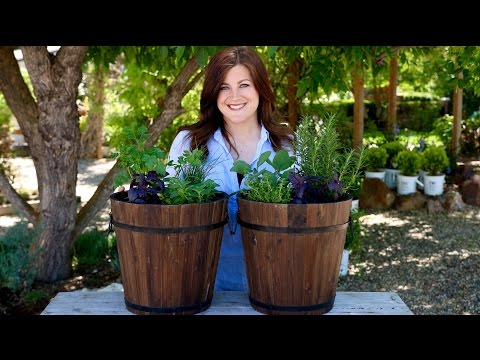 Planting Herbs // Garden Answer