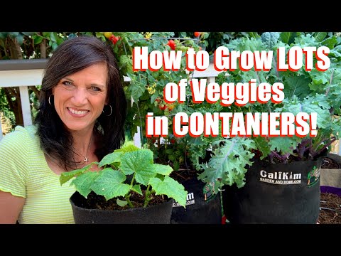 How to Grow LOTS of Veggies in Containers - 4 Tips for Success / Container Garden Series #1