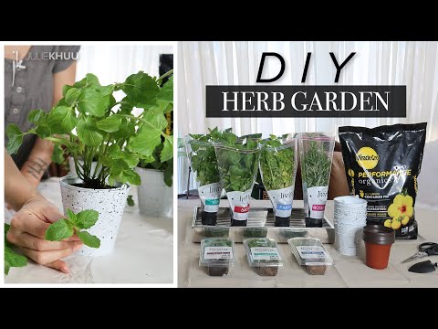 DIY HERB GARDEN | Indoor or Outdoor Herb Garden | Julie Khuu