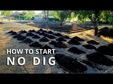 No Dig Gardening: How to Make a No Dig Garden Bed