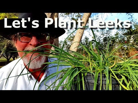 How to Plant Leeks