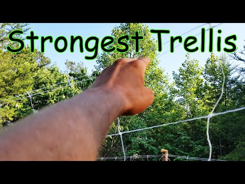 The Strongest Vegetable Trellis Netting Around!