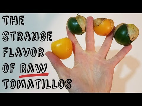 Raw Tomatillo Comparison (Purple, Yellow and Green varieties!)- Weird Fruit Explorer