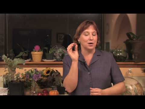 Gardening: Edible Plants : How to Grow Tomatillos