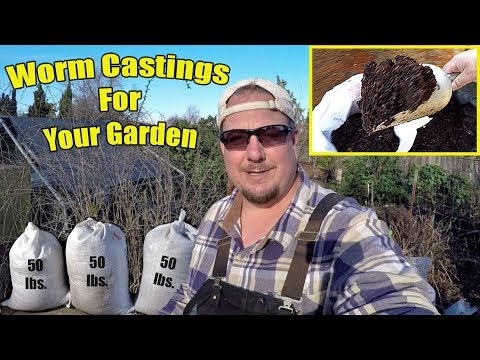 The Absolute Easiest Way To Harvest Worm Castings For Your Garden!!!