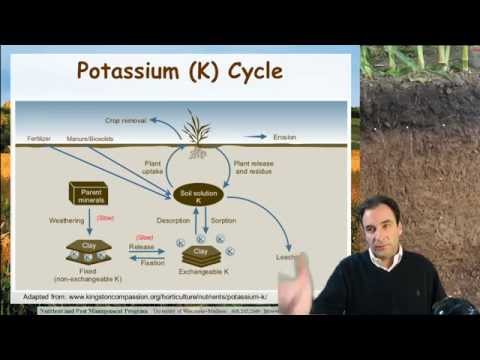 Soil Potassium, Ag Nutrient Management