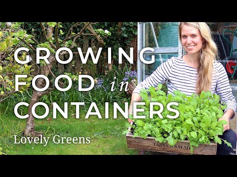 Quick Start Guide to Growing Food in Containers