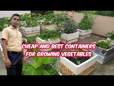 Cheap and best containers for growing vegetables