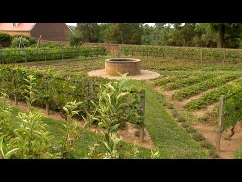 How to Layout a Vegetable Garden | P. Allen Smith Classics