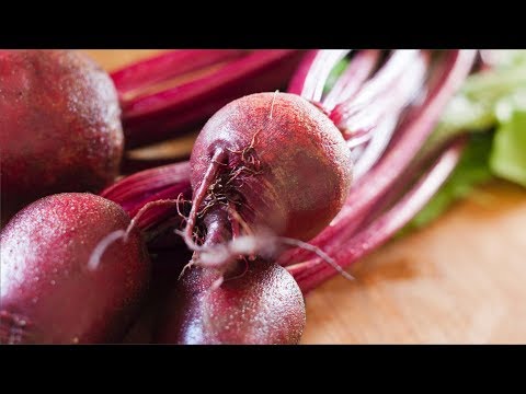 HOW TO GROW, SELL & HARVEST BEETS