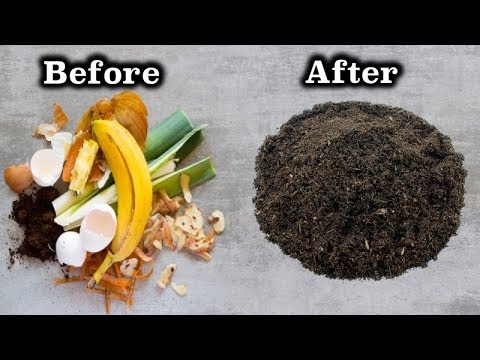 Stop Buying Compost. Perfect Way To Make Your Own Compost At Home