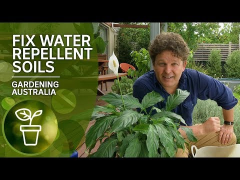 How to fix hydrophobic or water repellent soils with organic wetting agents