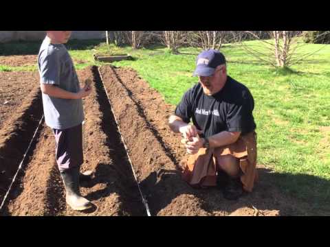 Prepping and Planting Potatoes