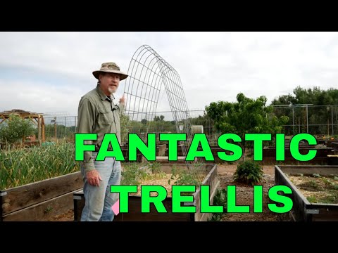 The Best Tomato Trellis