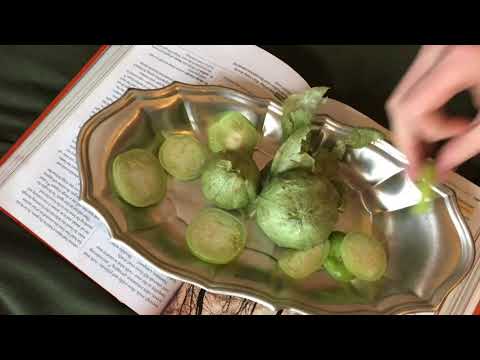 FIRST taste of a husk tomato, ground cherry, tomatillo