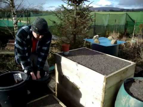 How to Grow Giant Carrots & Parsnips