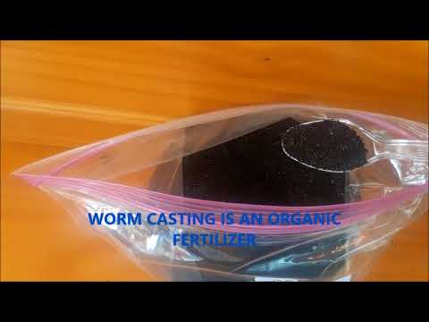 How to use worm casting for house plants