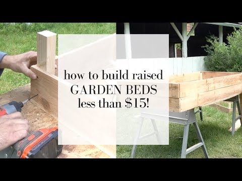 How to Build Cedar Raised Beds | Gardening for Beginners