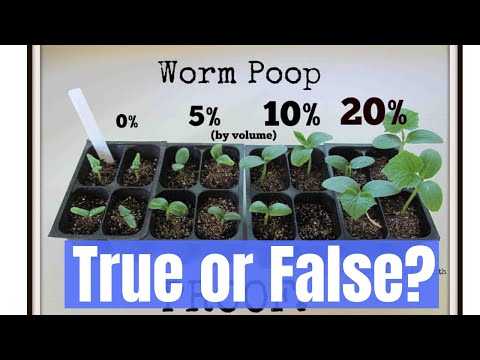 Do worm castings help your vegetables grow faster?